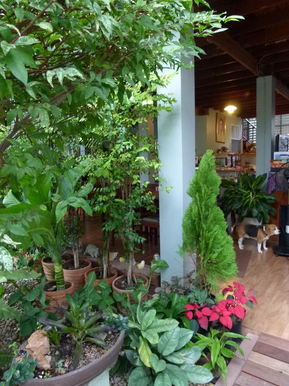 Ban Boonchu Bed and Breakfast Ayutthaya Eksteriør billede